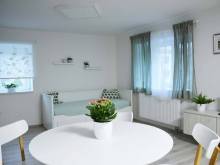 Apartmán Květinový Dům - Hluk
