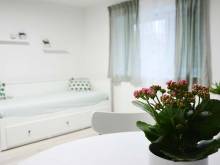 Apartmán Květinový Dům - Hluk