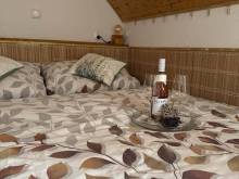 Apartmán u Ještěrky se saunou - Dětřichov