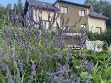 Domeček Jalovčí 2