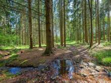 Chata Dobčice - Lipanovice