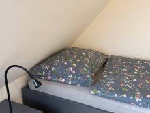 Apartmány Růžová - Růžová