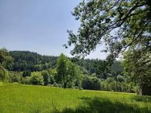Apartmány Vila Jestřabí - Jestřabí v Krkonoších