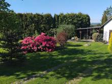 Ubytování pod lesem - Kouty