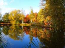 Rybolov pro děti a dospělé - Lázně Bohdaneč