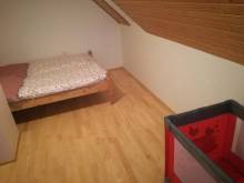 Roubenka na kopečku - Zlatá Olešnice