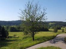 Lesní chatky - Bernov