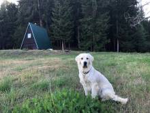 Lesní chatky - Bernov