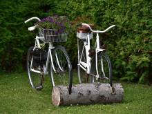 Chalupa Blaník - Louňovice pod Blaníkem