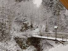 Chata Maty - Dolní Dvůr