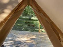 Glamping stany u Jizery - Sobětuchy