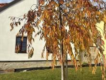 Ubytování U Telče - Kostelní Myslová