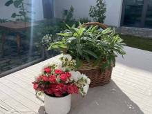 Dědův grunt - Týn nad Bečvou