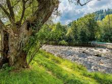 Apartmán Rejštejn - Rejštejn