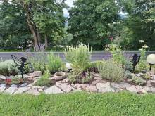 Penzion Černý Petr - Strážné