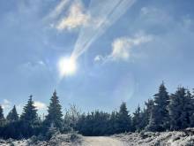 Chalupa U muflona - Zdobnice