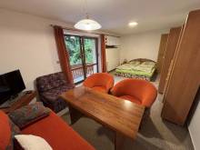 Ski & hike apartments - Černá Hora