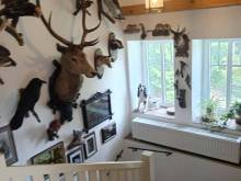 Hájenka Rounek u Jihlavy - Rounek