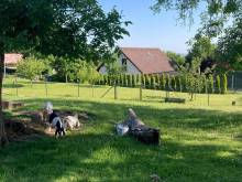 Kus Domu - Apartmán v Českém Ráji - Brada