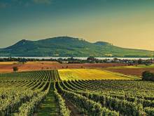 Apartmán nad sklípkem - Drnholec