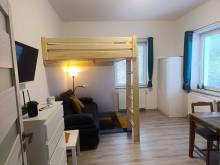 Apartmán Denisa - Horní Rokytnice