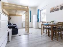 Apartmán Denisa - Horní Rokytnice