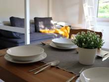 Apartmán Denisa - Horní Rokytnice