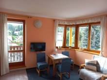 Apartmán Mona - Horní Rokytnice
