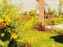 M&D Appartments - Valtice