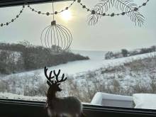 M&D Appartments - Valtice