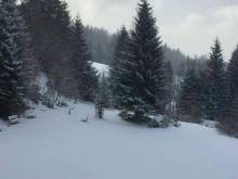 Apartmán Frauenberg - 