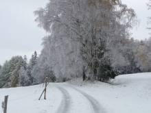 Apartmán u Beránků - Svinná
