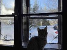 Chalupa Ella - Stará Ves