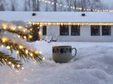 Chalupa Ella - Stará Ves