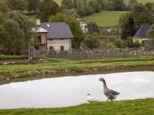 Apartmán na farmě - Žleb