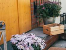 Samota 88 - Horní Krupka