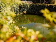 Luční penzion - Zájezd