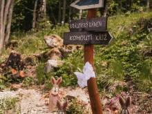 Horská chata Královský kámen - Nicov
