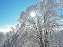 Horská chata Královský kámen - Nicov