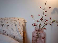 Apartmány Vysoká - Vysoká Lípa