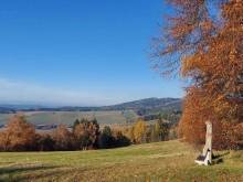 Apartmán U Lípy - Janovičky