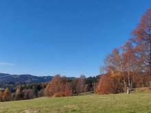 Apartmán U Lípy - Janovičky