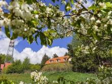 Penzion Mikulčin vrch - Vápenice