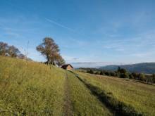 Pod Žítkovským vrchem - Žítková