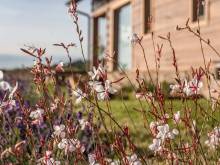 Pod Žítkovským vrchem - Žítková