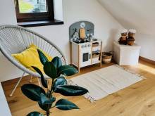 Nature Apartment - Mariánská Hora