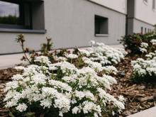 Rekreační dům Bytovka1962 3