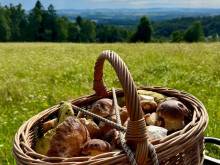 Krkonošský vejminek 136 - Rudník