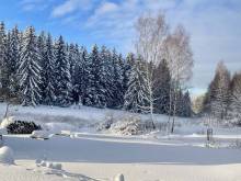 Chalupa a apartmán U Tří srnek - Mariánská Hora