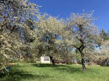 Apartmán na včelíně - Dolní Němčice